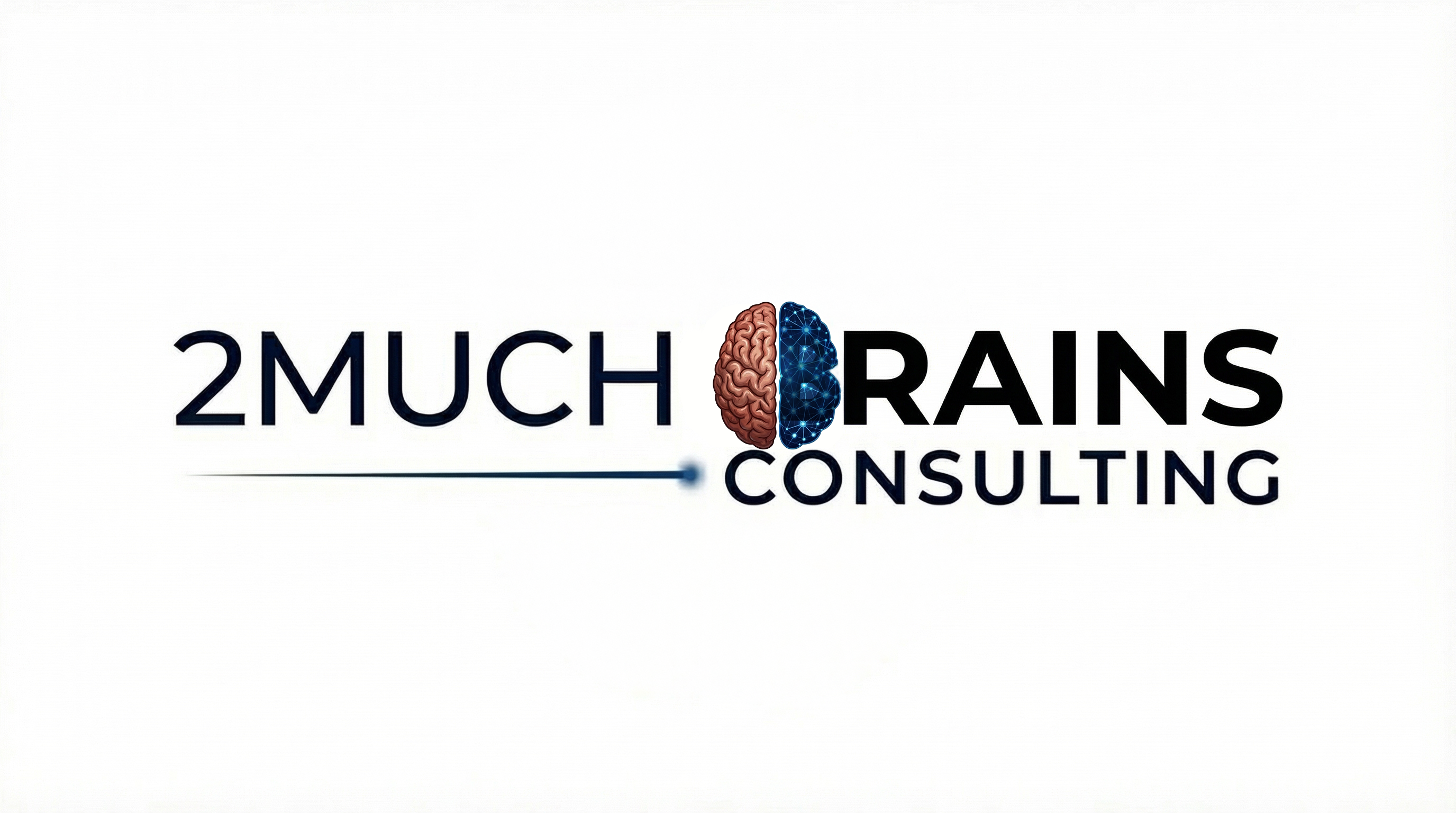 2Much Brains Consulting